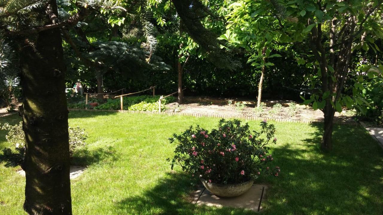 פרו B&B Mary מראה חיצוני תמונה